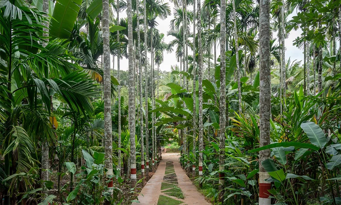 Best Resorts in Dandeli for Family
