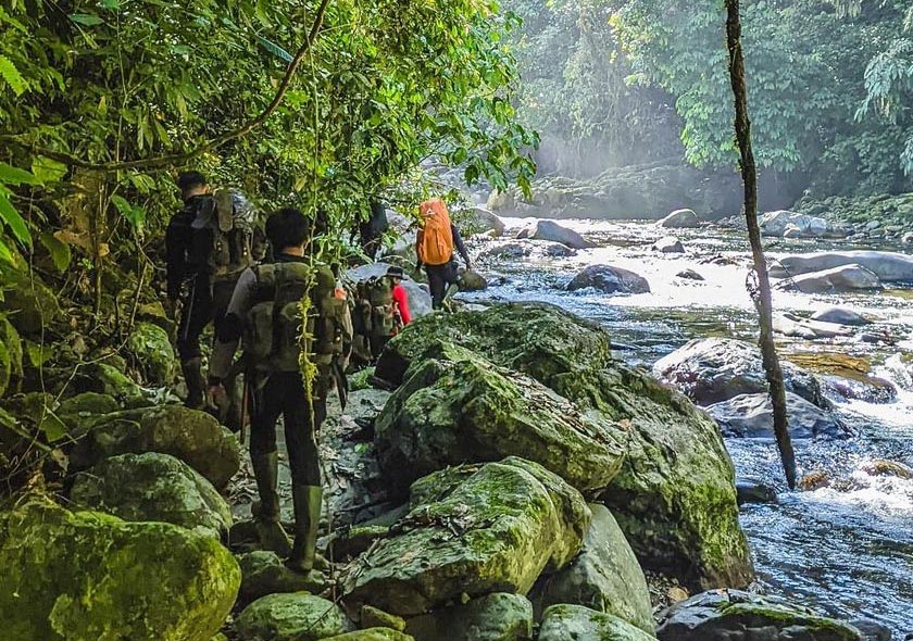 Jungle Trekking