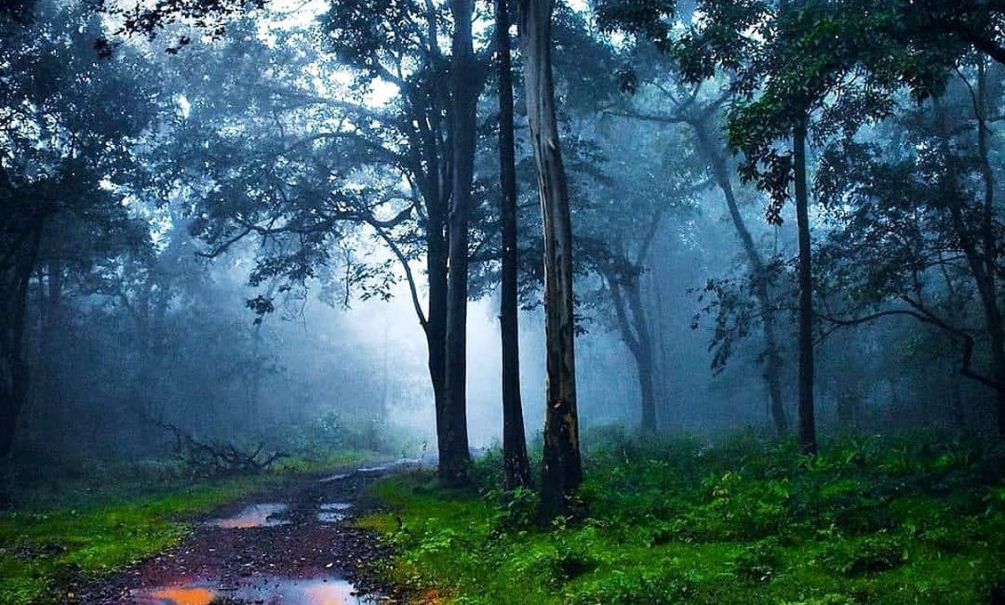 dandeli weather