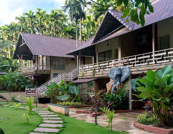 Best Dandeli Resort Packages for Every Budget