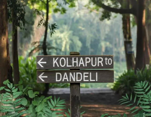 Kolhapur to Dandeli Distance – Road Trip Guide