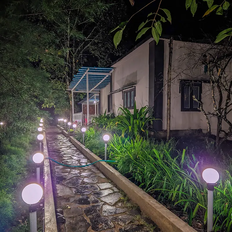 Tusker resort dandeli at night