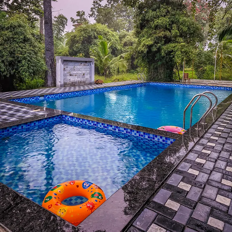 Tusker resort dandeli swimming pool