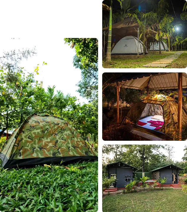 dandeli tent stay