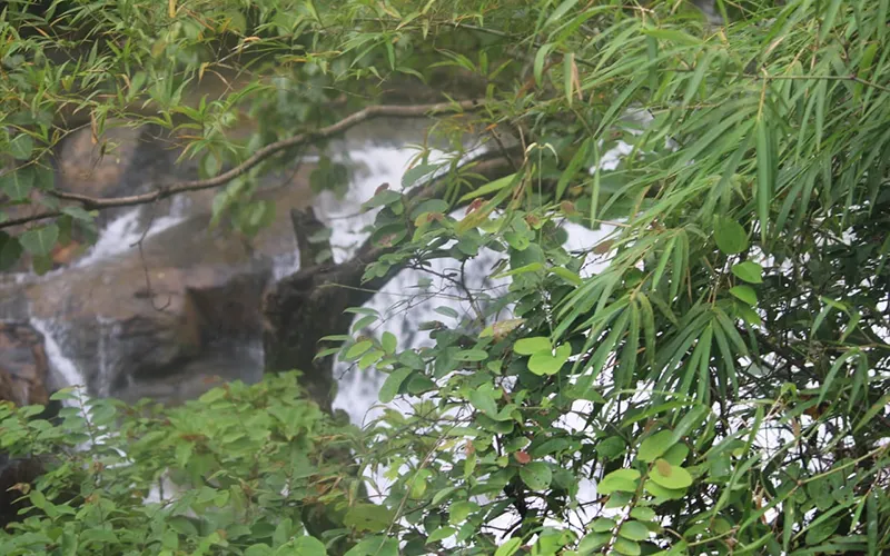 Twins Falls Dandeli