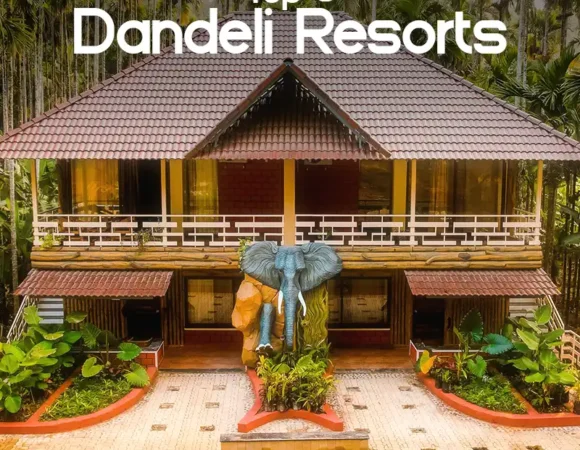 What are the top 5 resorts in Dandeli for adventure activities?