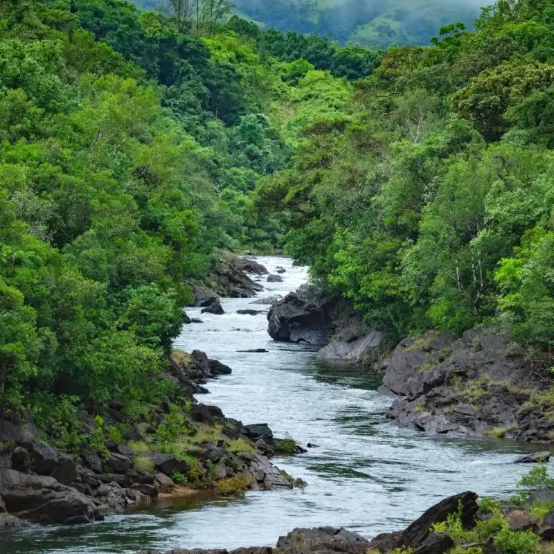 Chikmagalur trekking