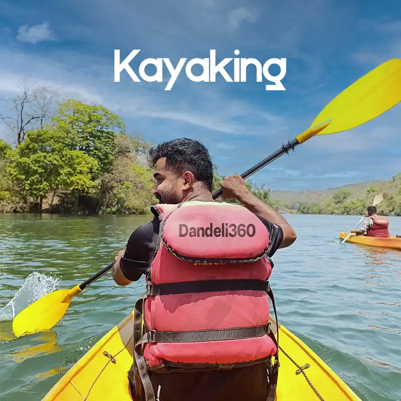 Kayaking in Dandeli