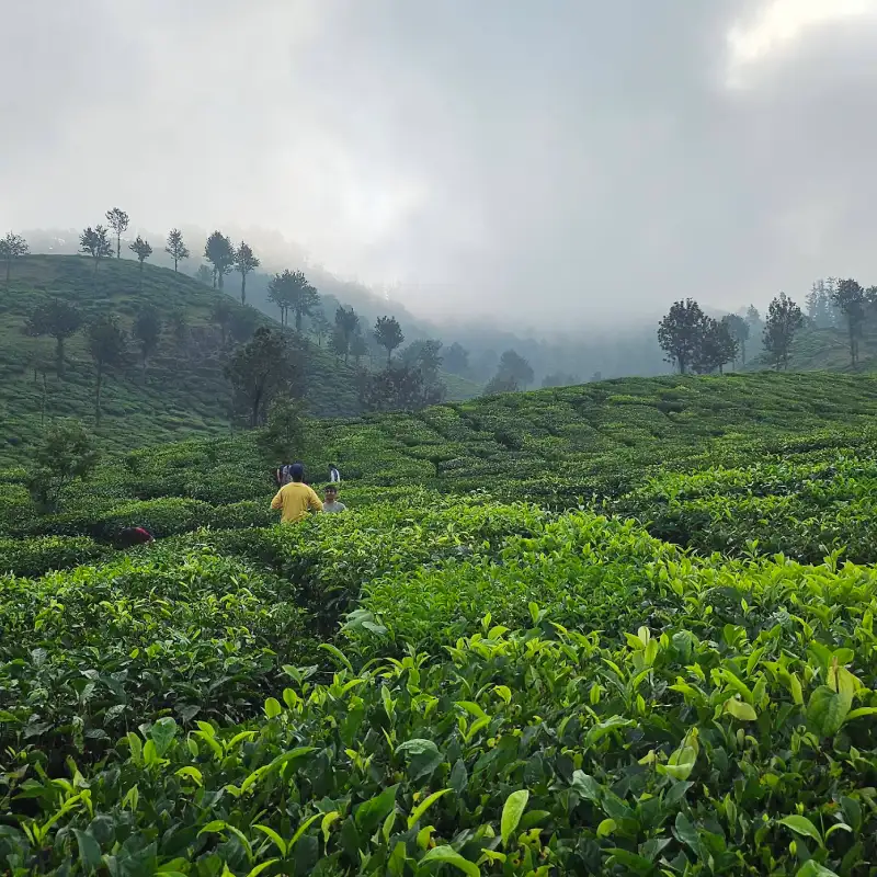 Netravati trek photos