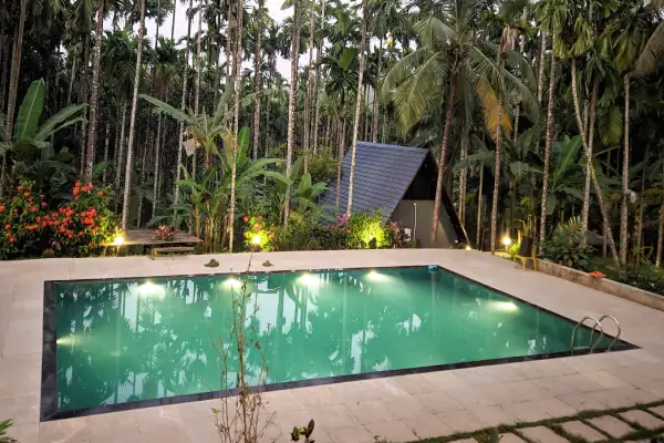dandeli family package