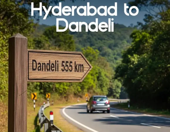 Hyderabad to Dandeli Distance​