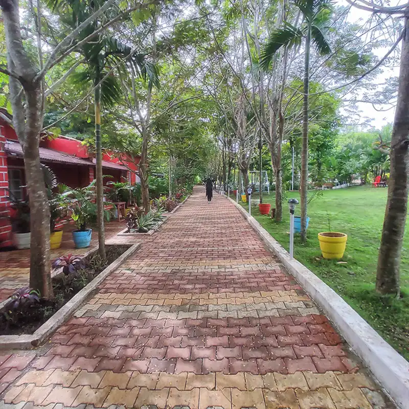 Panther resort dandeli
