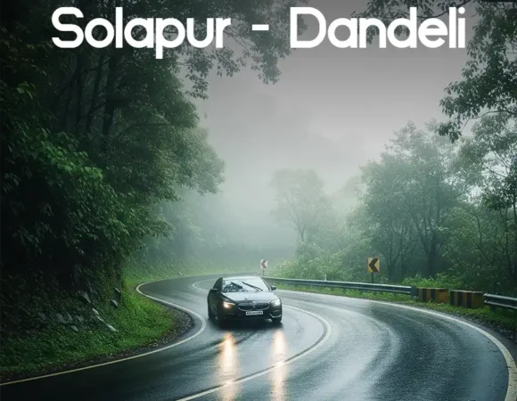 Solapur to Dandeli Distance