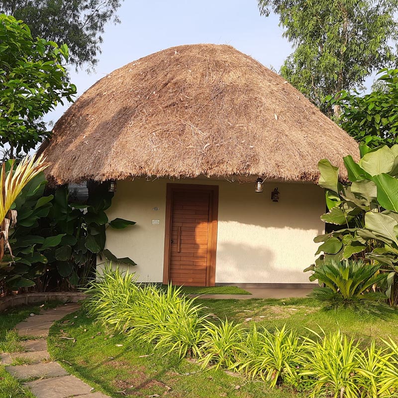 Fortune Woods river resort dandeli