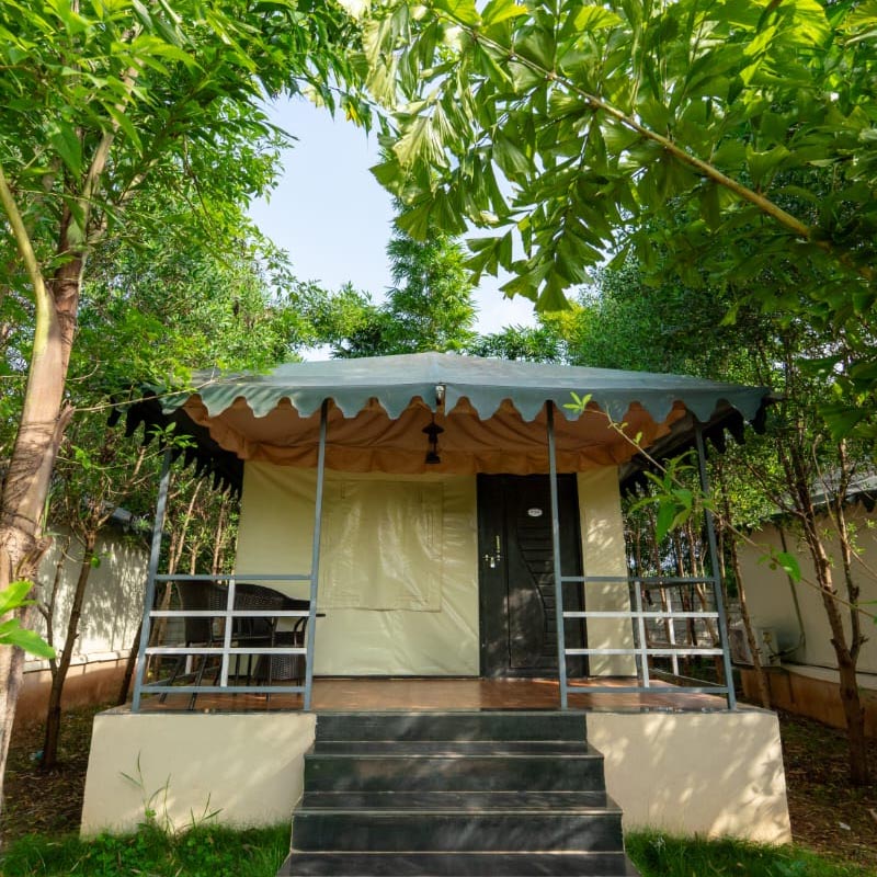 Fortune Woods river resort dandeli