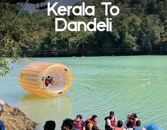 Kerala to Dandeli: The Complete Travel Guide (Distance, Routes & What to Expect)