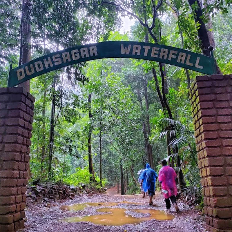 Dudhsagar falls entry