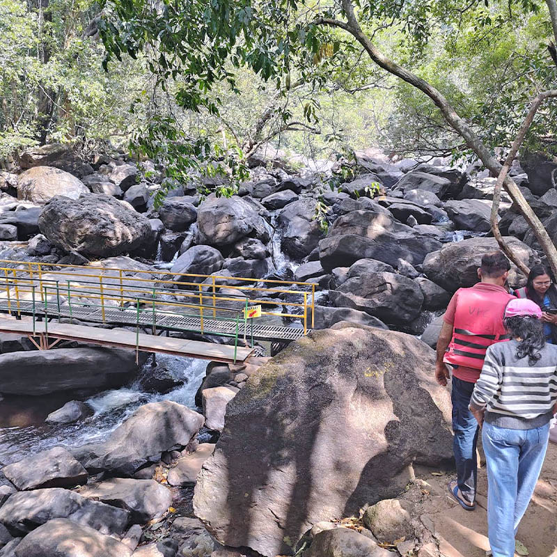 Dudhsagar jungle Trek