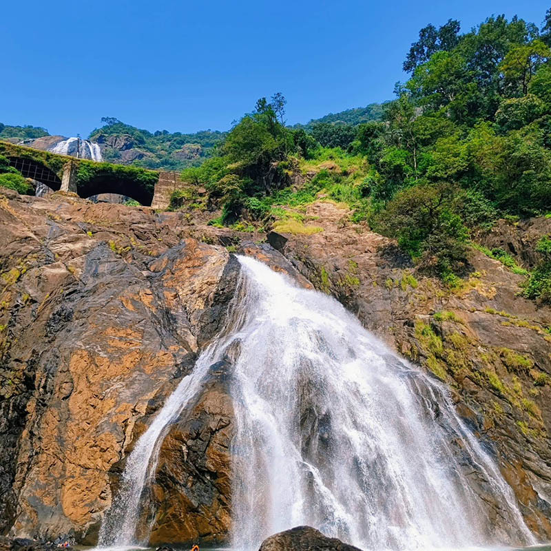 Dudhsagar jungle trekking