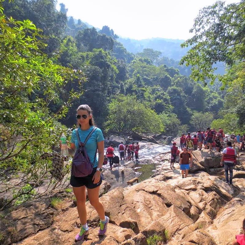 dudhsagar falls train