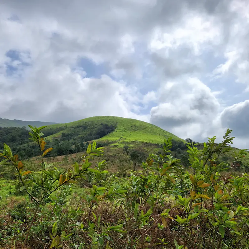 kudremukh trek