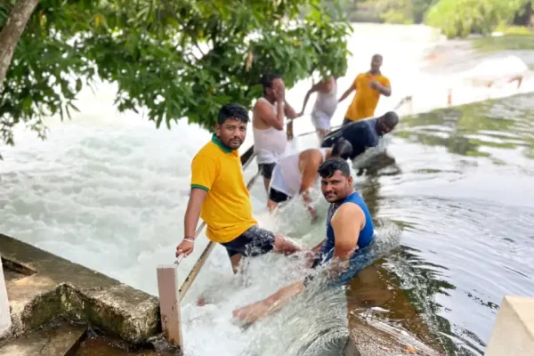 dandeli group packages