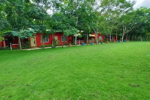 Panther resort dandeli