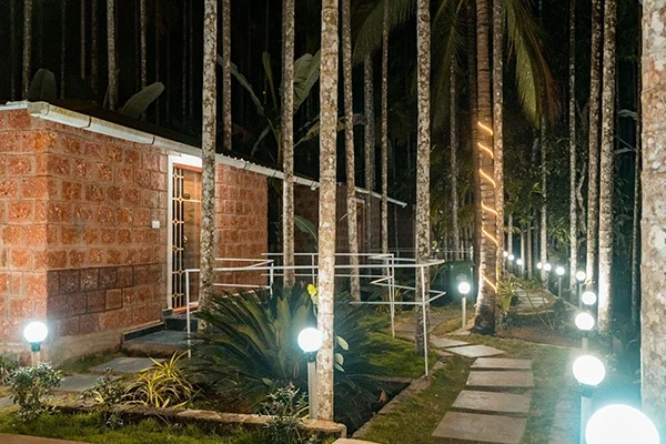 green land junglestay