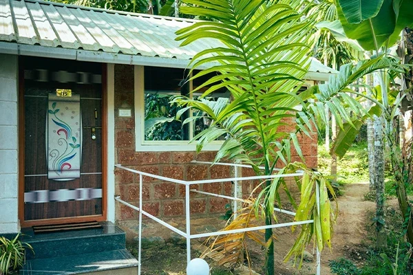 green land junglestay