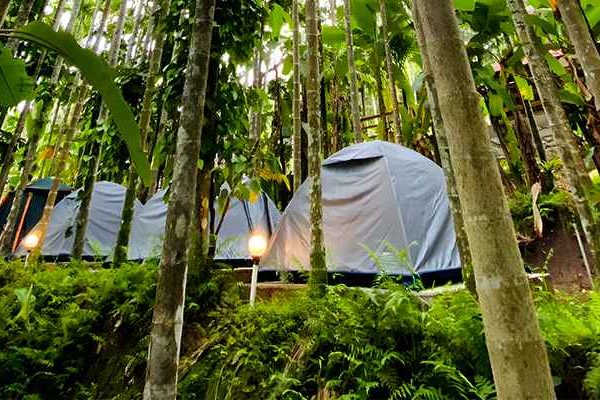 Tent Stay Dandeli